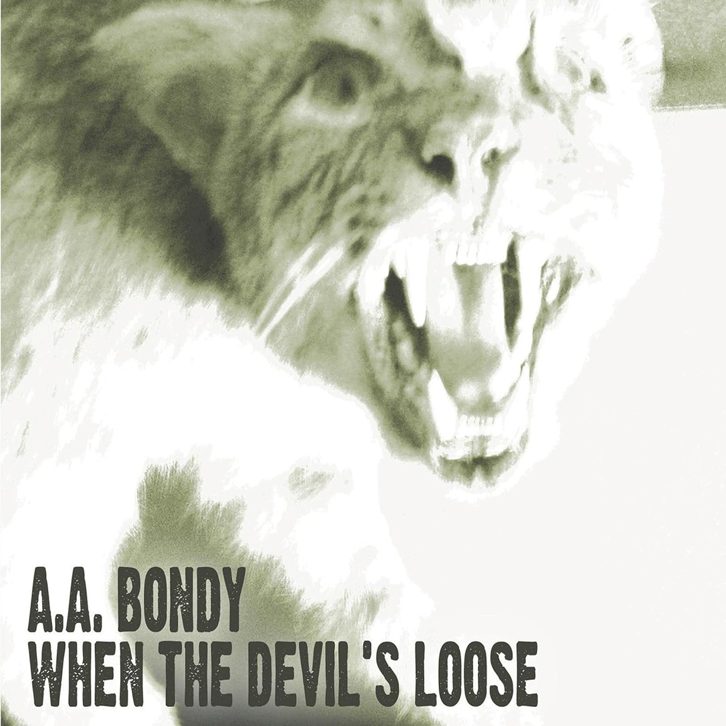 A.A. Bondy – When The Devil's Loose