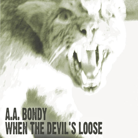 A.A. Bondy – When The Devil's Loose