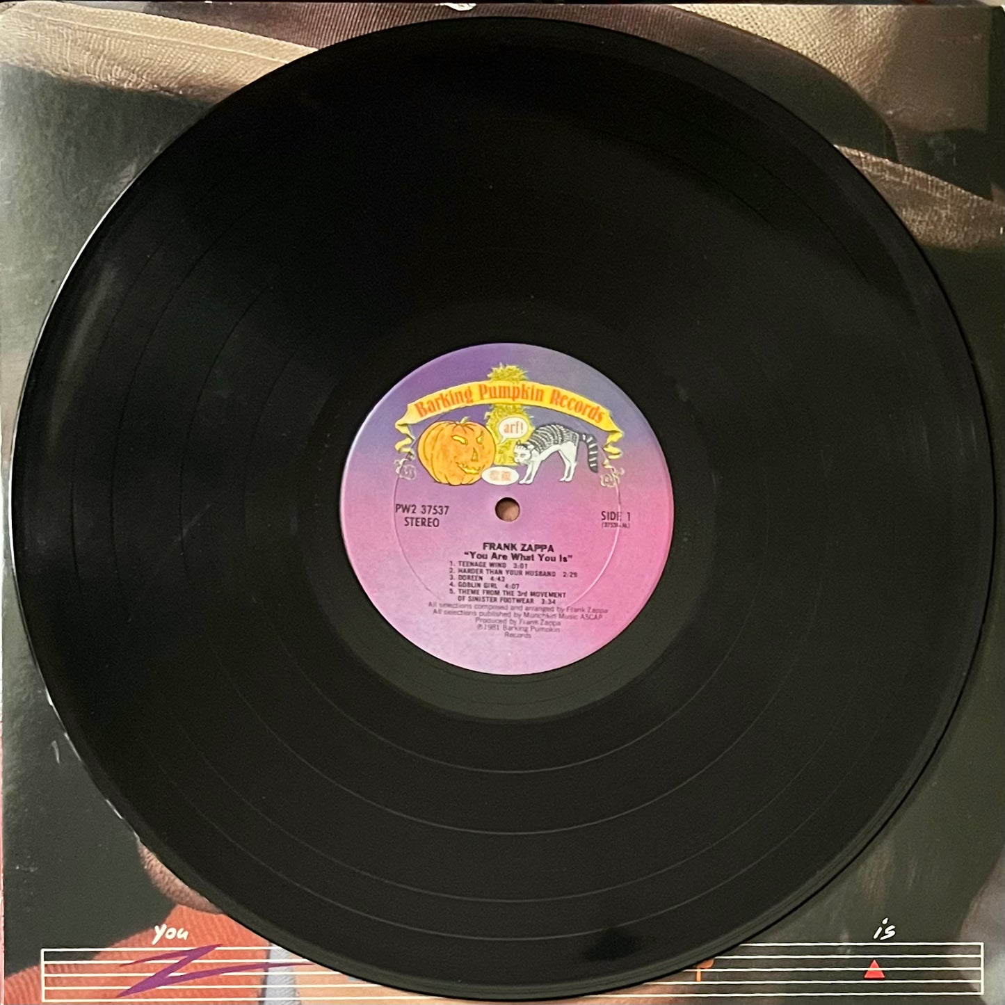 Frank Zappa - You Are What You Is (USED)