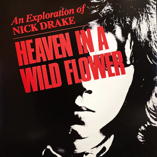 Nick Drake – Heaven In A Wild Flower: An Exploration of Nick Drake