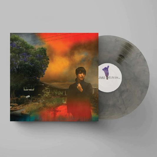 Sharon Van Etten — We've Been Going About This All Wrong