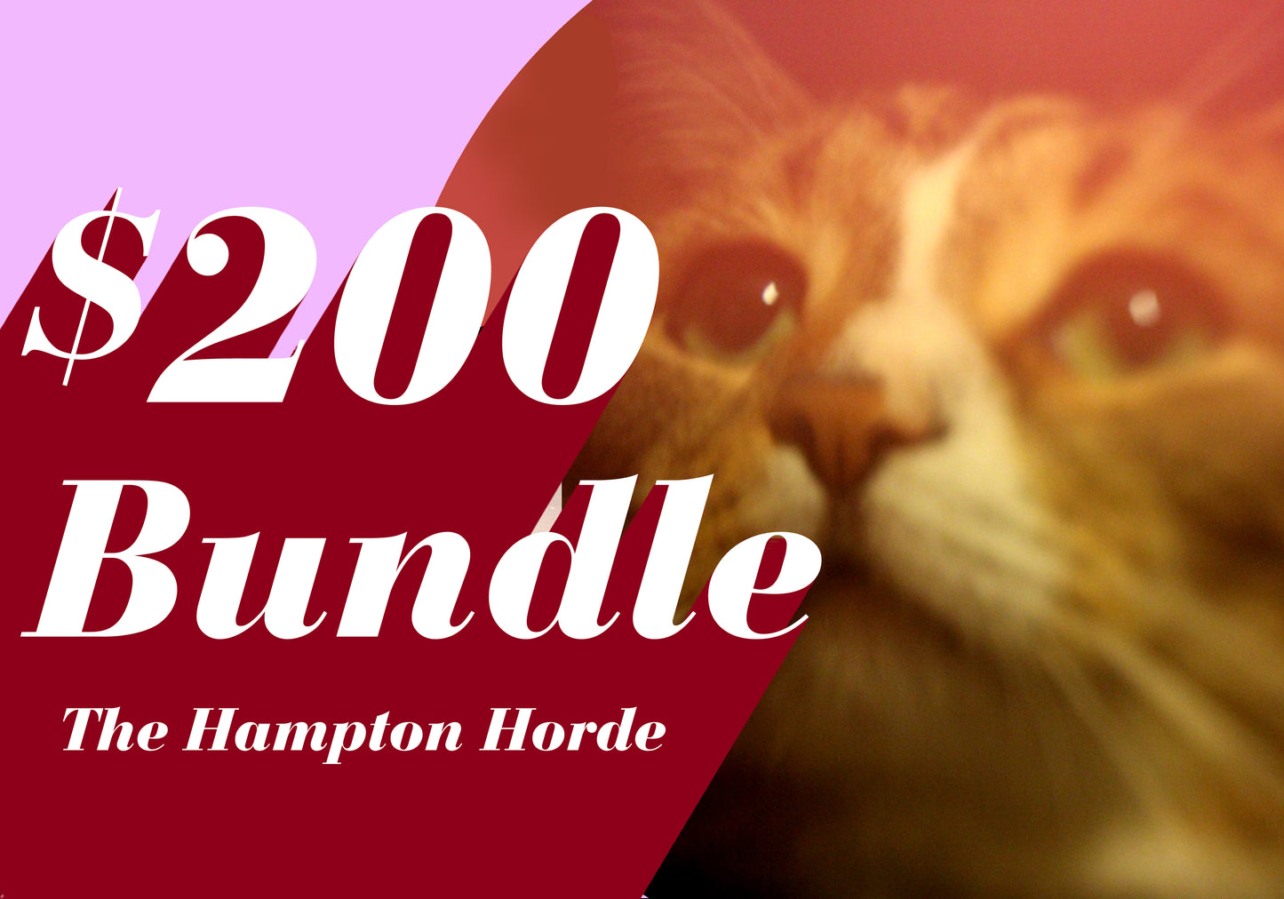 The Hampton Horde