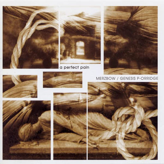 Merzbow/Genesis Breyer P-Orridge — a perfect pain
