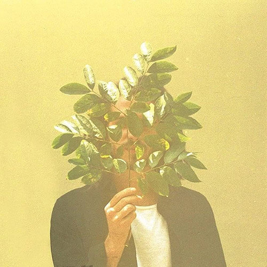 French Kiwi Juice — French Kiwi Juice