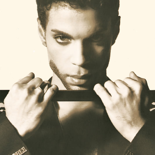 Prince — The Hits 2
