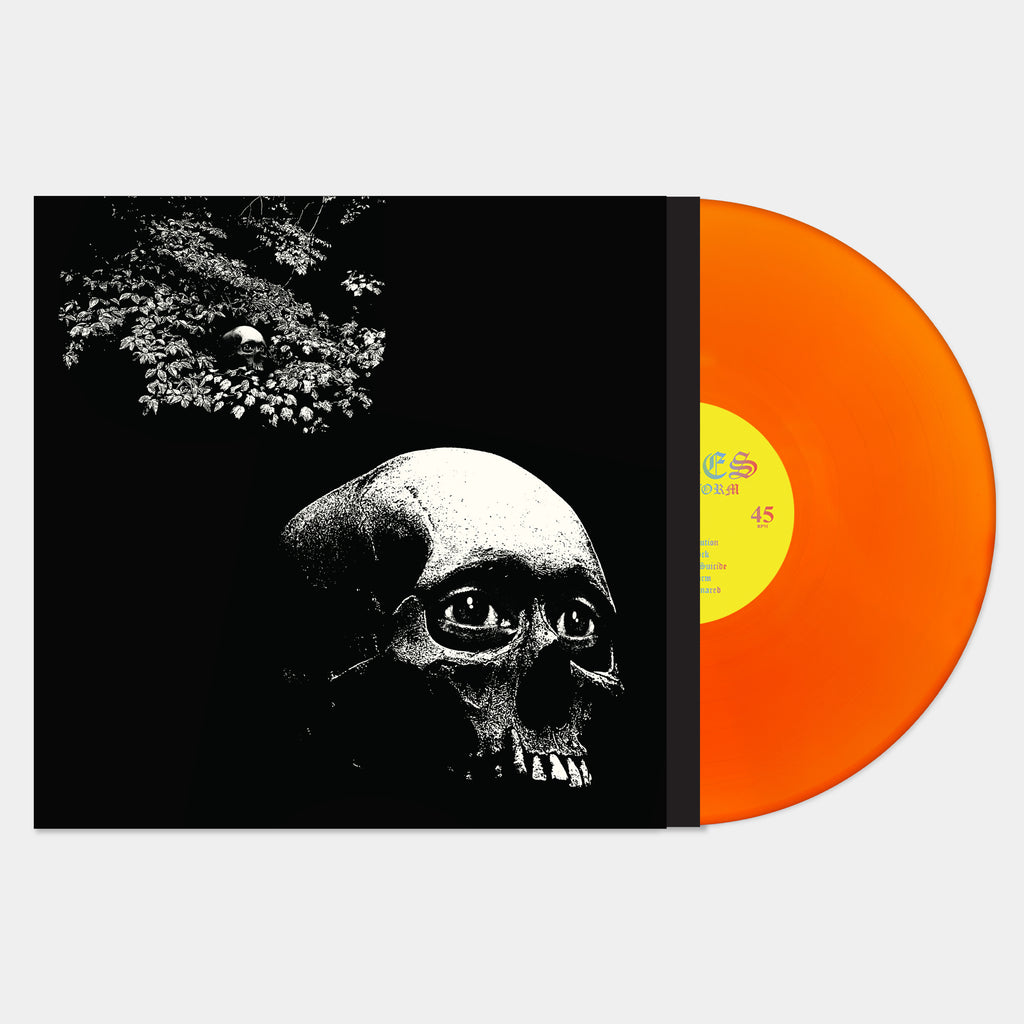 Osees — A Foul Form