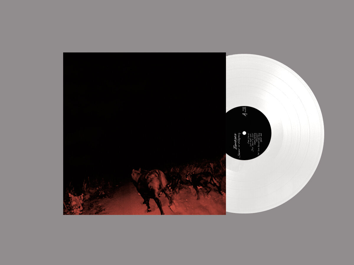 Bambara — Shadow On Everything