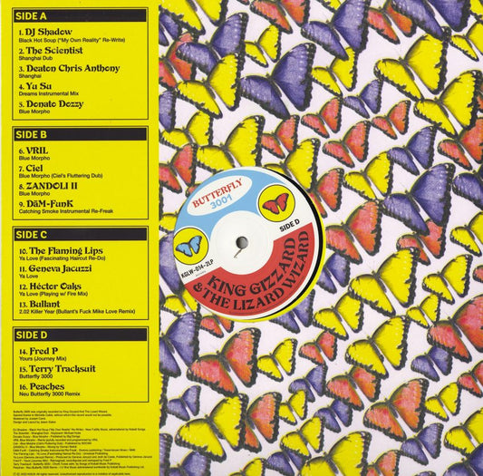 King Gizzard And The Lizard Wizard — Butterfly 3001