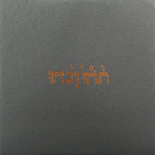 Godspeed You Black Emperor! — Slow Riot For New Zero Kanada EP