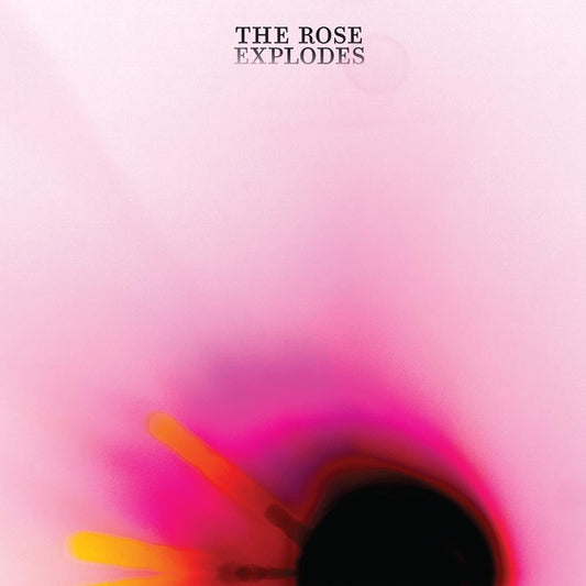 Dream Boat — The Rose Explodes