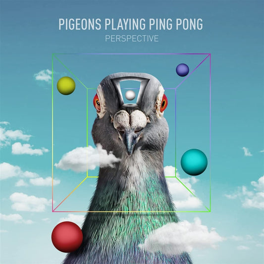 Pigeons Playing Ping Pong — Perspective