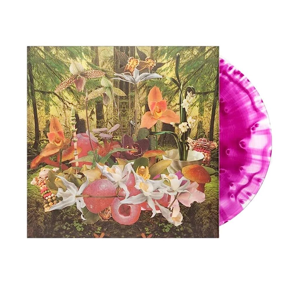 Monster Rally — Return To Paradise – VillageGreenRecords