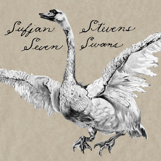 Sufjan Stevens — Seven Swans