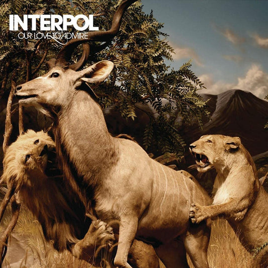 Interpol — Our Love to Admire