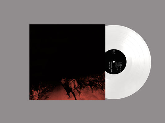 Bambara — Shadow On Everything