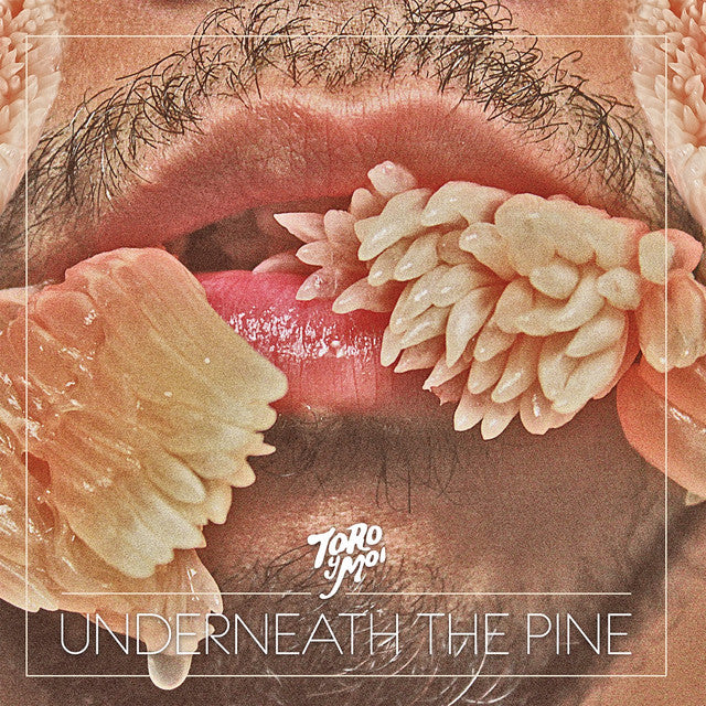 Toro Y Moi — Underneath The Pine